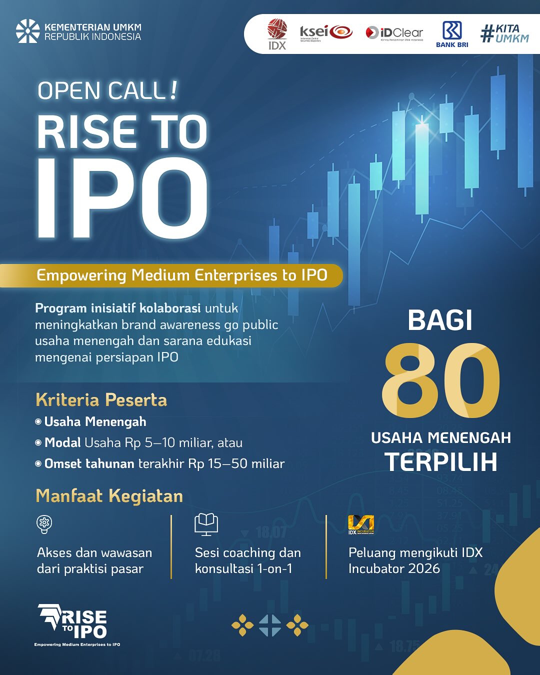 OPEN CALL! RISE TO IPO 2025